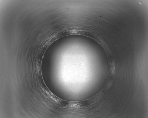 X0000086050569200703301109