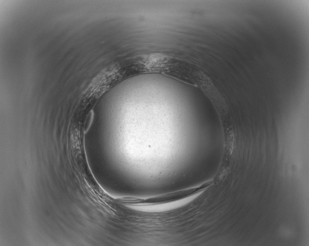 X0000086050571200703301109