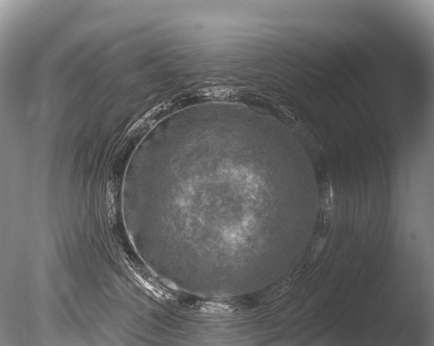 X0000086050572200703301109