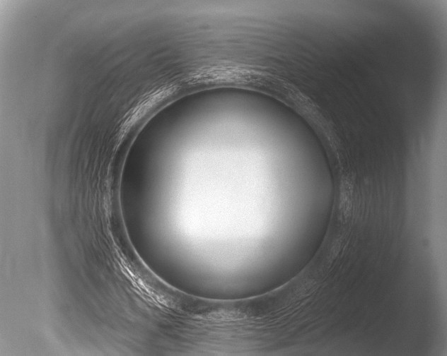 X0000086050578200703301108