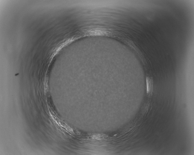 X0000086050579200703301108