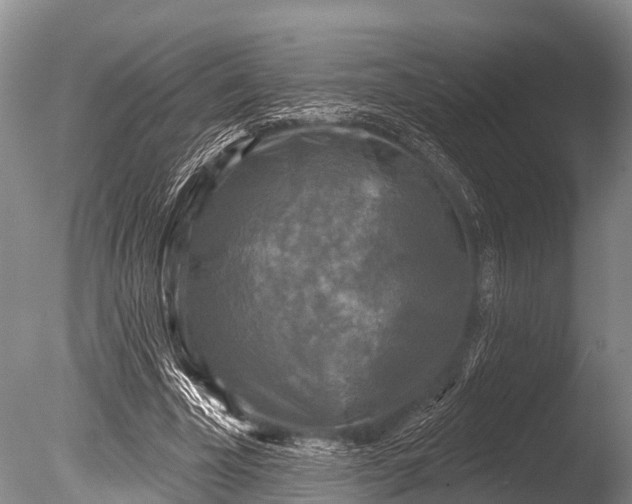 X0000086050585200703301108