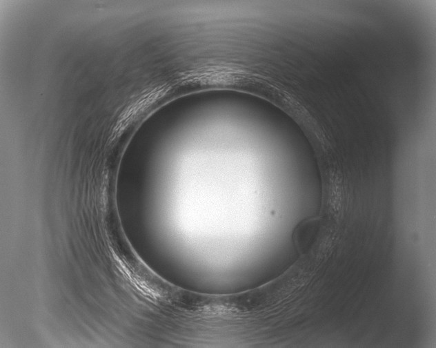 X0000086050586200703301108