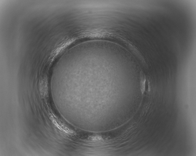 X0000086050588200703301108