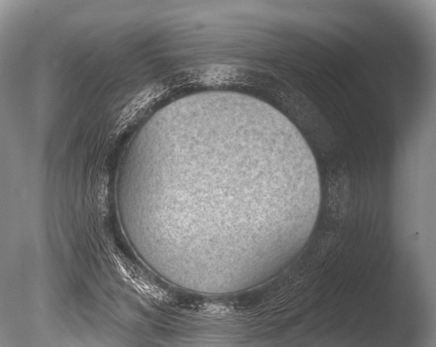 X0000086050592200703301108
