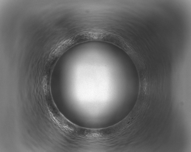 X0000086050594200703301108