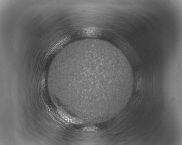 X0000086050595200703301108