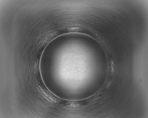 X0000086050601200703301108