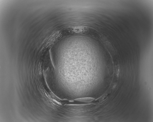 X0000086050606200703301108