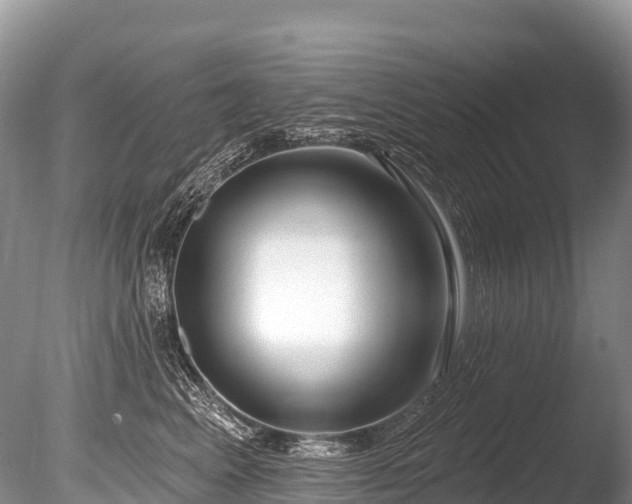 X0000086050617200703301107