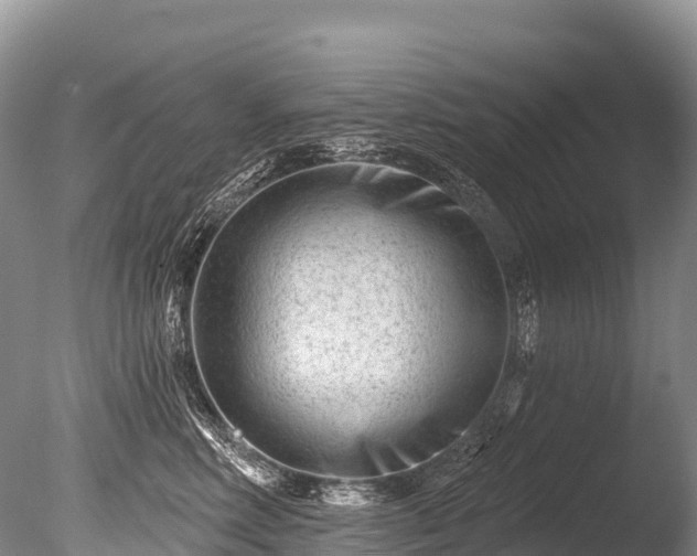 X0000086050618200703301107