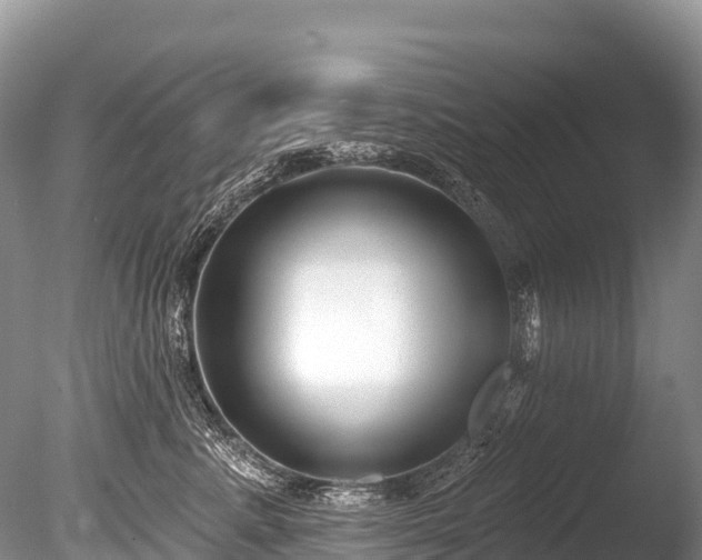 X0000086050619200703301107