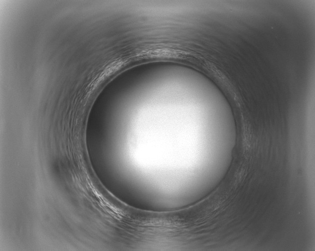 X0000086050625200703301106