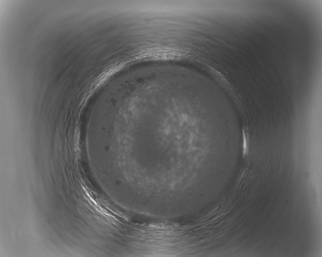 X0000086050627200703301107