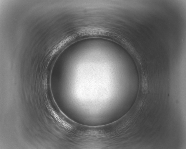 X0000086050629200703301107