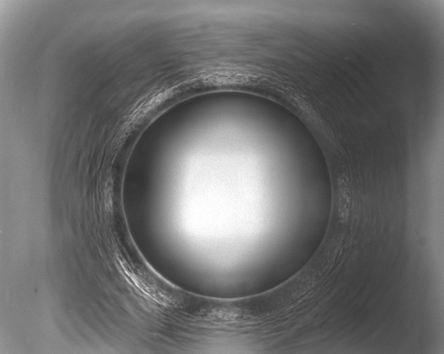 X0000086050631200703301107