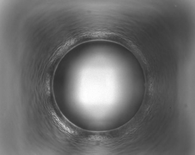 X0000086050633200703301107