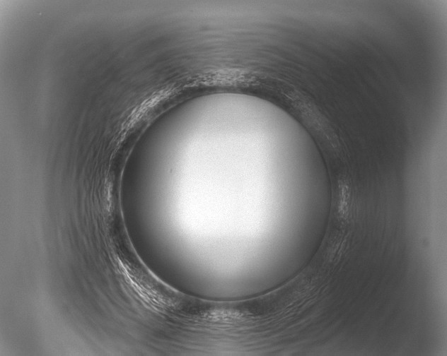 X0000086050636200703301107