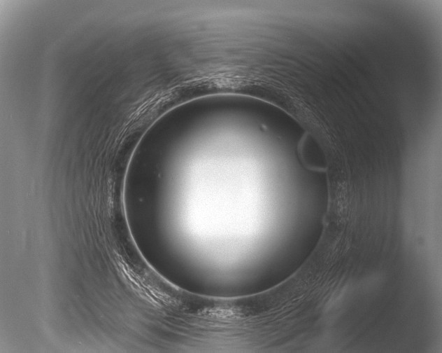 X0000086050639200703301107