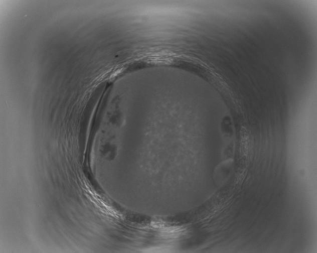 X0000086050641200703301107