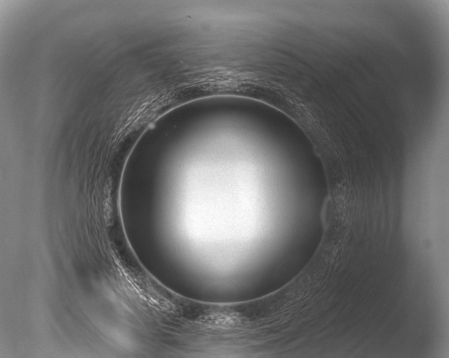 X0000086050642200703301107