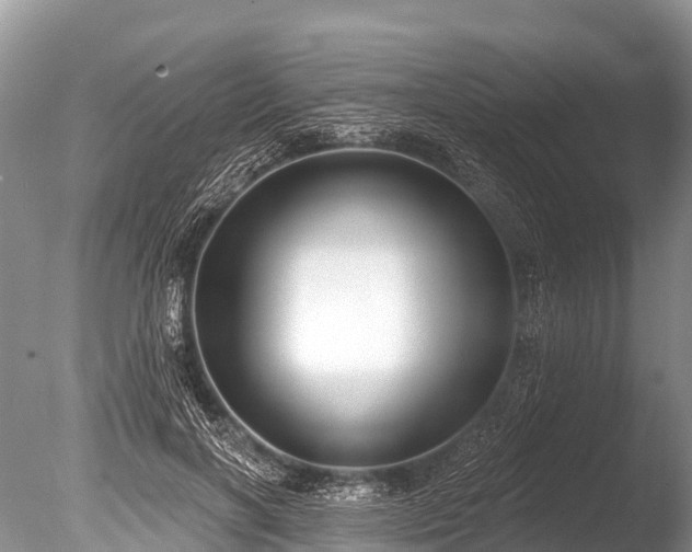 X0000086050646200703301107