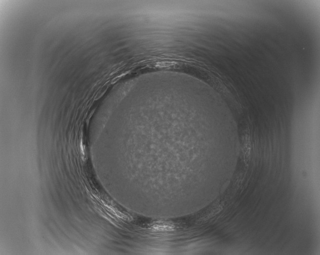 X0000086050653200703301107