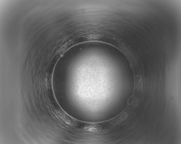 X0000086050655200703301107