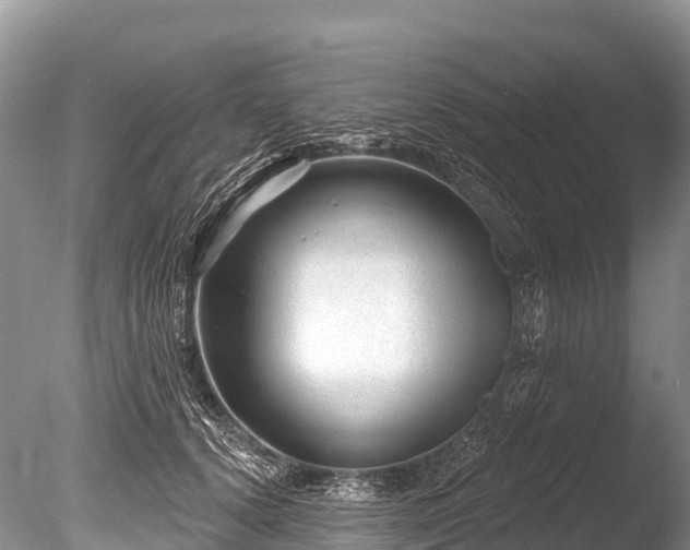 X0000086050656200703301107