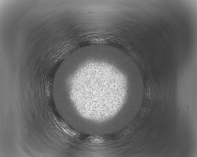 X0000086050658200703301107
