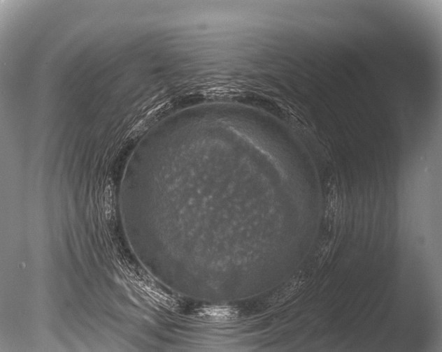 X0000086050659200703301107