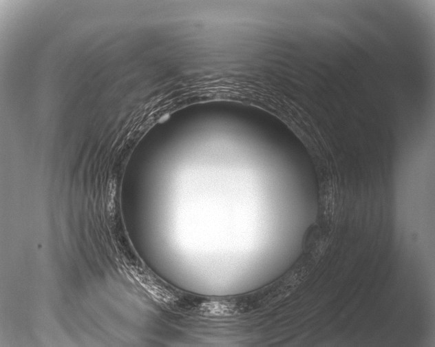 X0000086050660200703301107