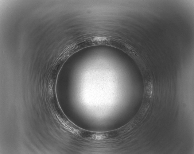 X0000086050662200703301107
