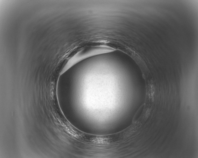 X0000086050664200703301107