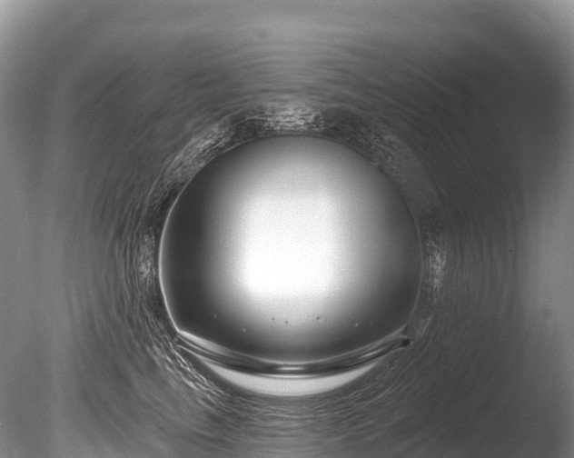 X0000086050665200703301107
