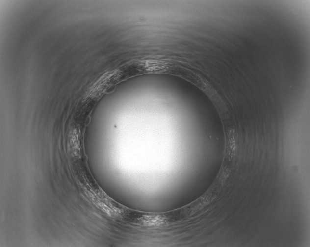 X0000086050667200703301107