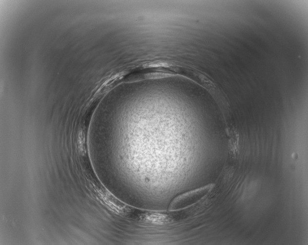 X0000086050669200703301107