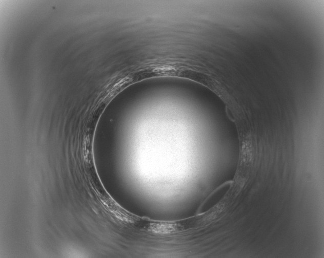 X0000086050671200703301107