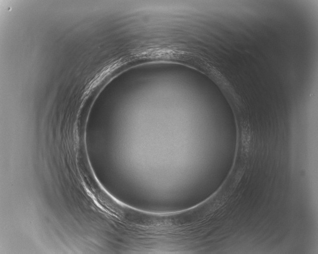 X0000086050674200703301106