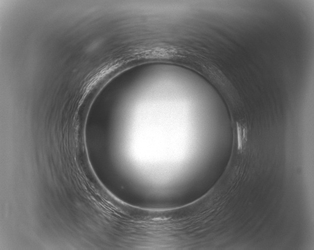 X0000086050675200703301106