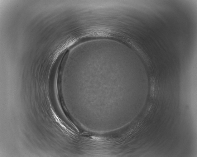 X0000086050677200703301106