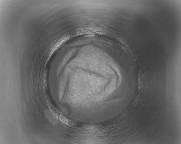 X0000086050679200703301106