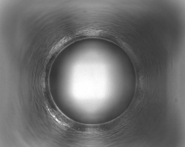 X0000086050682200703301106