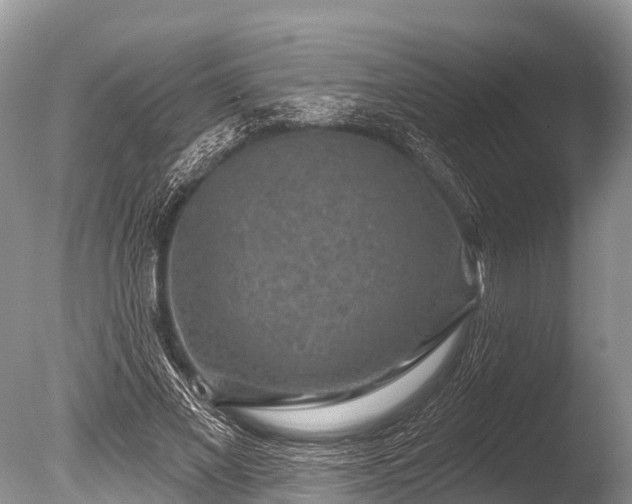 X0000086050685200703301106