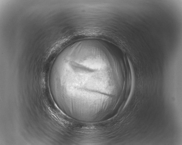 X0000086050688200703301106