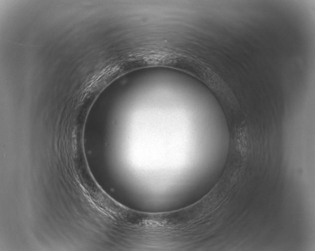 X0000086050690200703301106