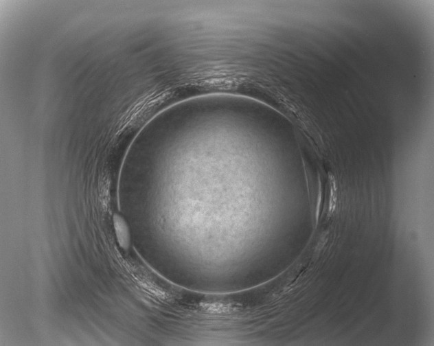 X0000086050693200703301106