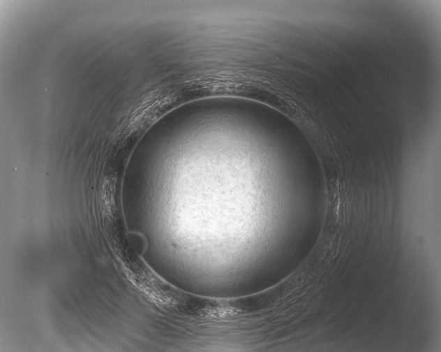 X0000086050695200703301106