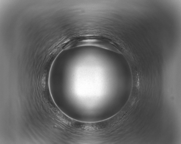 X0000086050697200703301106