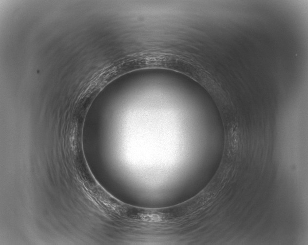 X0000086050698200703301106